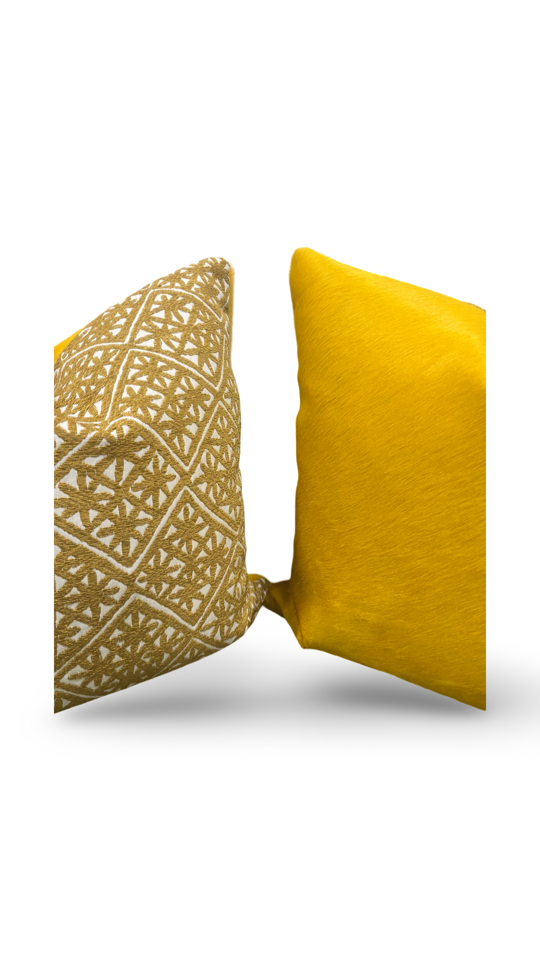 Aster Sun 20X20" Knife Edge Decorative Pillow