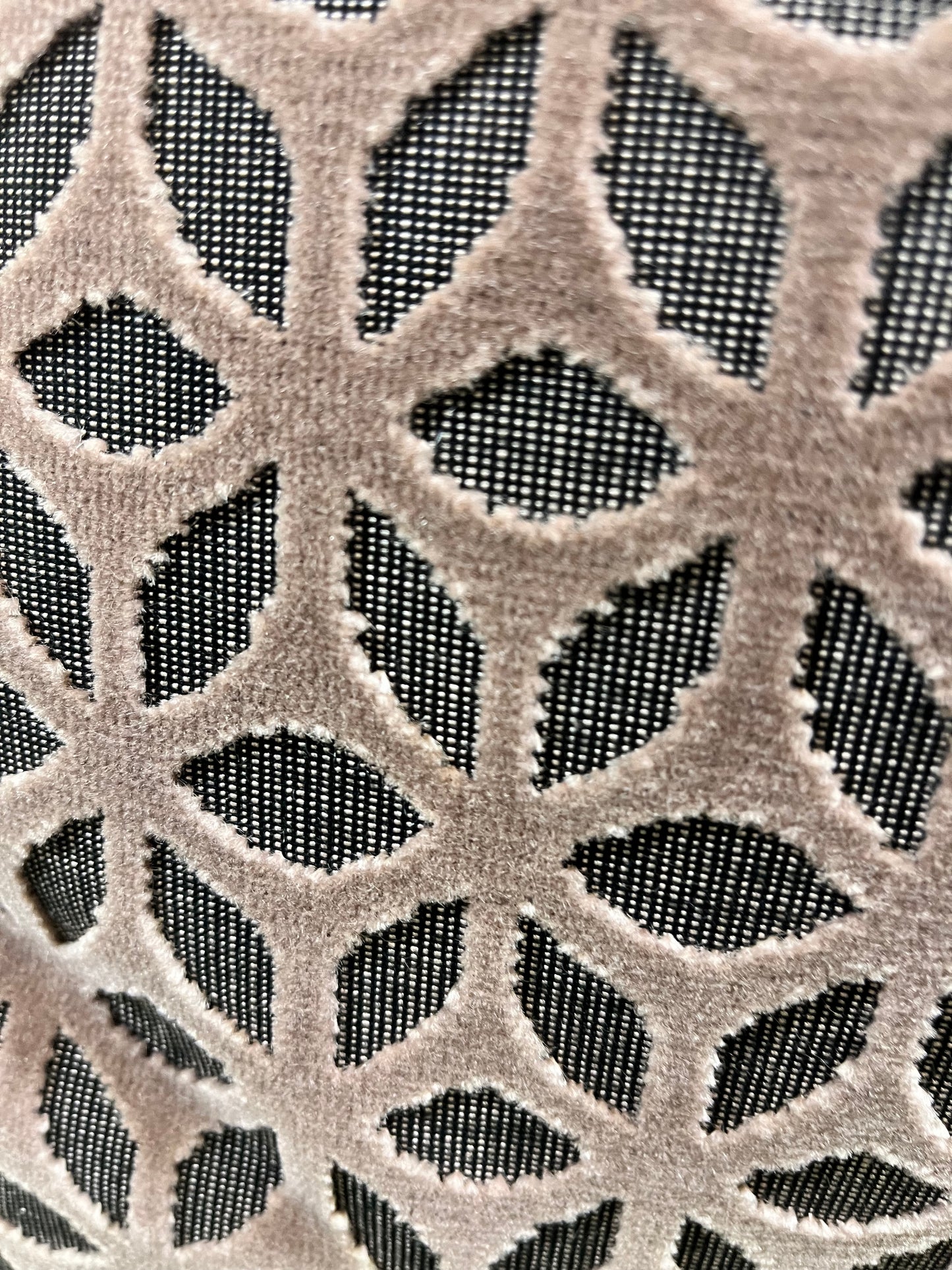 Merletto Oyster 22x22" Raised Velvet Knife Edge Decorative Pillow