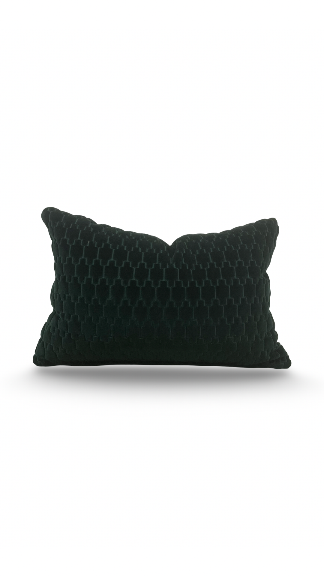 Brentano-4258-10-Graviata-Evergreen