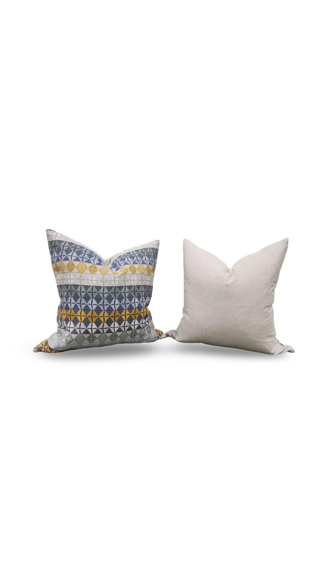Decorative Pillow Mahi Mahi 20x20" Knife Edge Cover