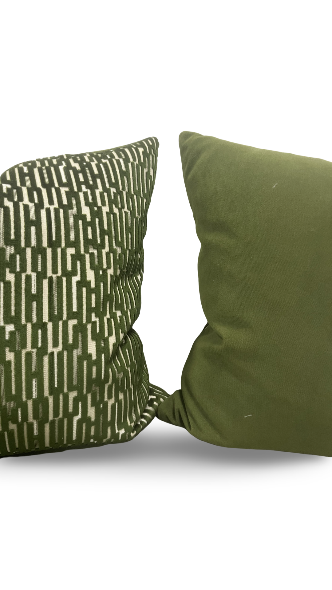 Raised Velvet Decorative Pillow Linq Olive Branch 20x20" Knife Edge Cover