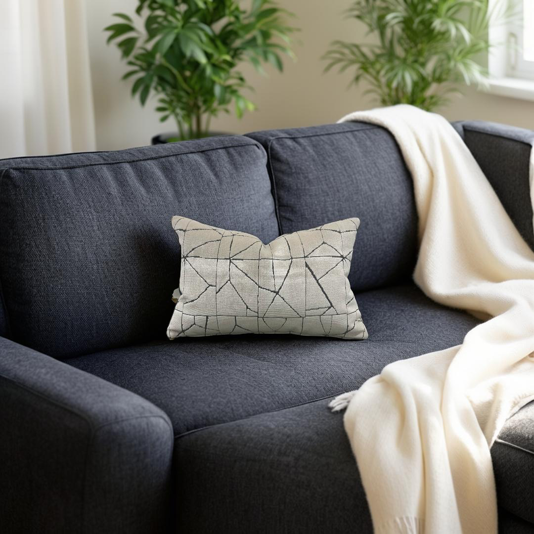 Gray sofa with a decorative pillow and blanket in a living room setting
