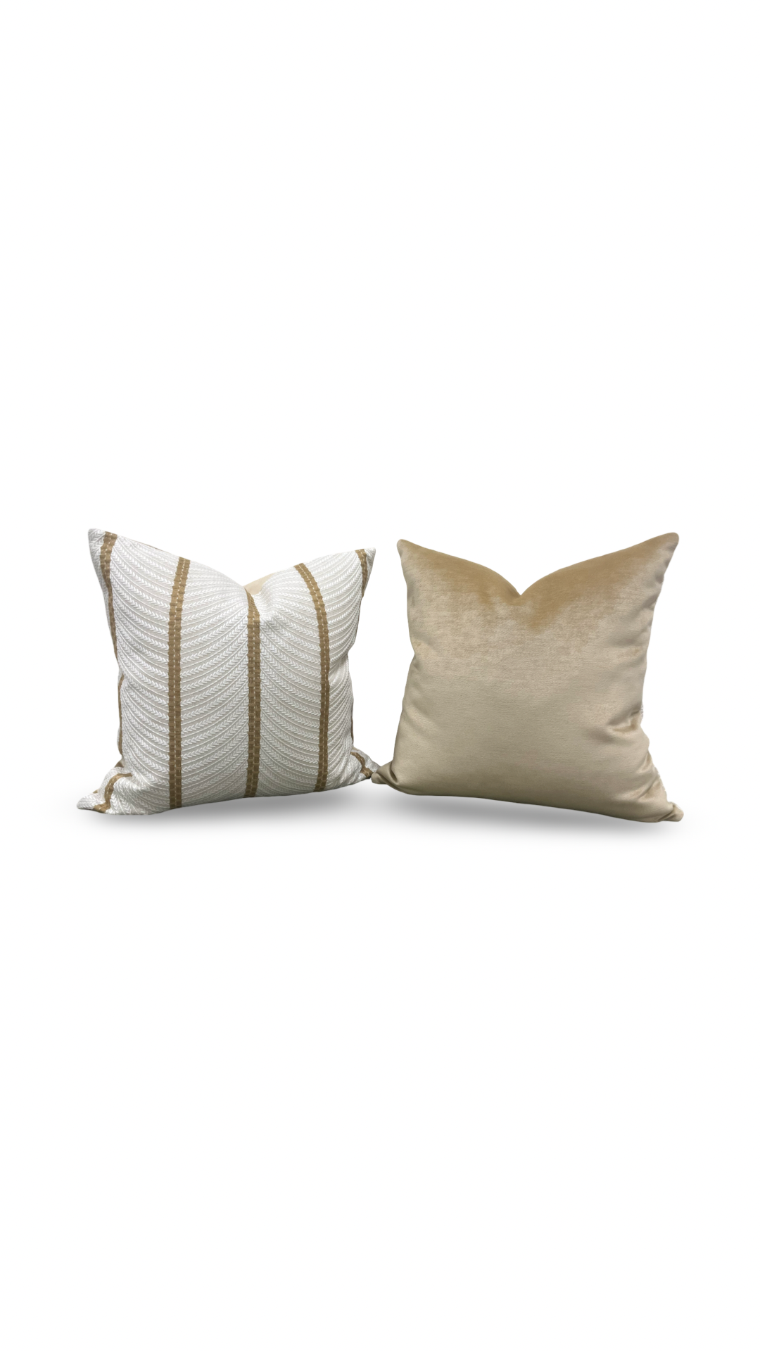 Two decorative pillows on a white background